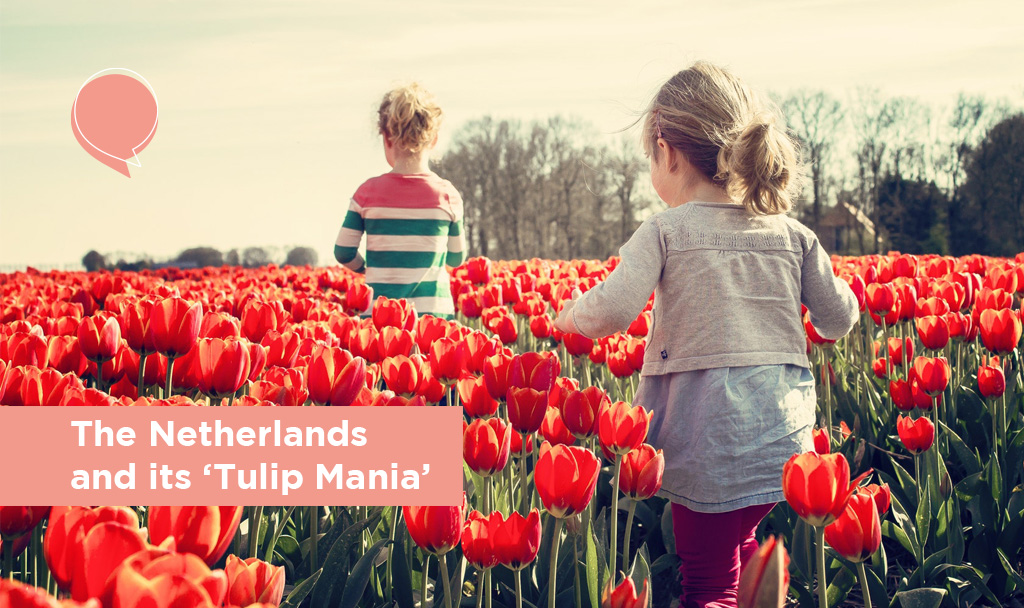 The Netherlands and its ‘Tulip Mania’