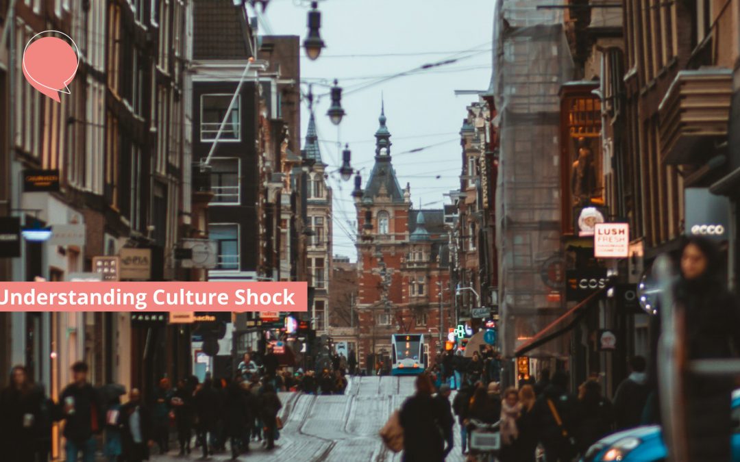 Understanding Culture Shock